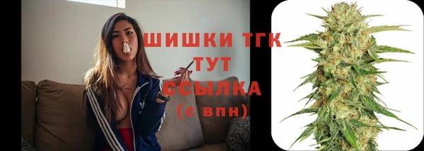 MDMA Новозыбков