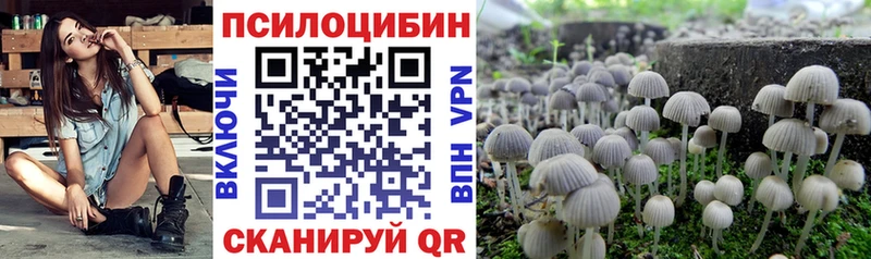Псилоцибиновые грибы Magic Shrooms купить цена Томск