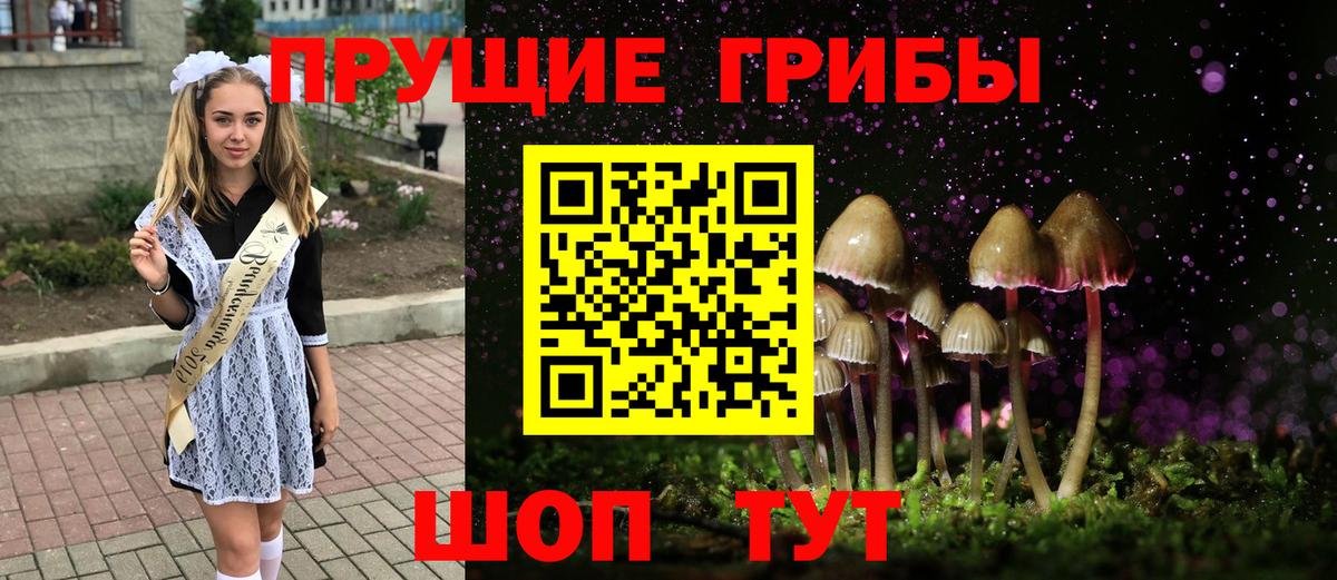 Псилоцибиновые грибы мицелий  Вход с VPN  Томск 