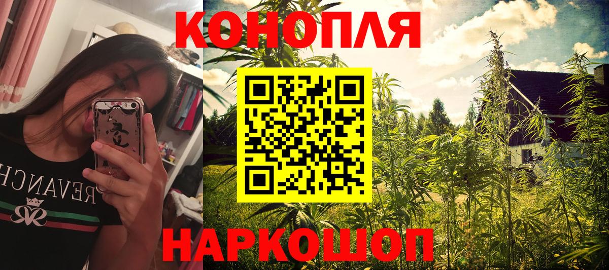 Канабис Ganja  Томск  Бошки Шишки ГИДРОПОН  Каннабис White Widow  Канабис White Widow 